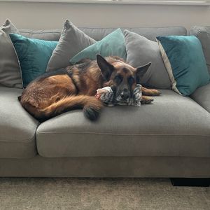 Meet your Posher, Hyds